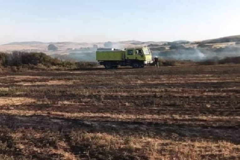 باجة: حريق يأتي على هكتار ونصف من الأشجار الغابية والصنوبر