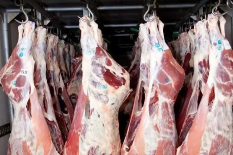 وزير التجارة يؤكد وصول كميات من اللحوم المبرّدة لتوزيعها