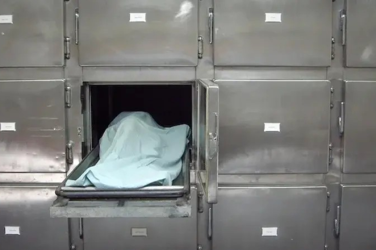 قبلي: العثور على جثة متحللة