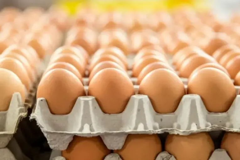 وزير الفلاحة يدعو إلى التسريع في تكوين مخزون من البيض قبل شهر رمضان
