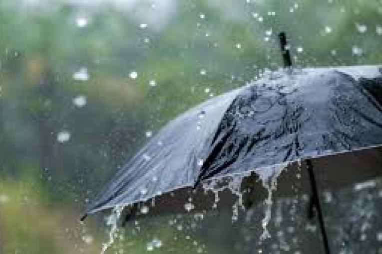 أمطار رعديّة غزيرة بداية من الليلة