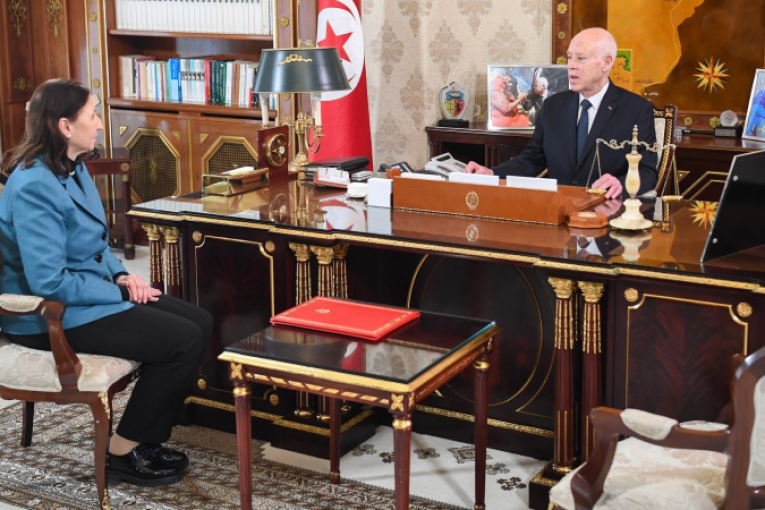 سعيّد والفرجاني يتباحثان مشروع قانون لوضع نظام أساسي جديد للأطباء