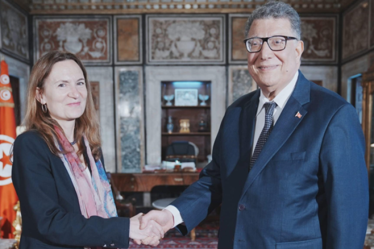 سفيرة فرنسا: مستعدون لمواصلة دعم تونس في تسهيل منح التأشيرات