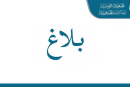 عفو رئاسي: السراح لـ745 سجينا بمناسبة عيد الجمهورية