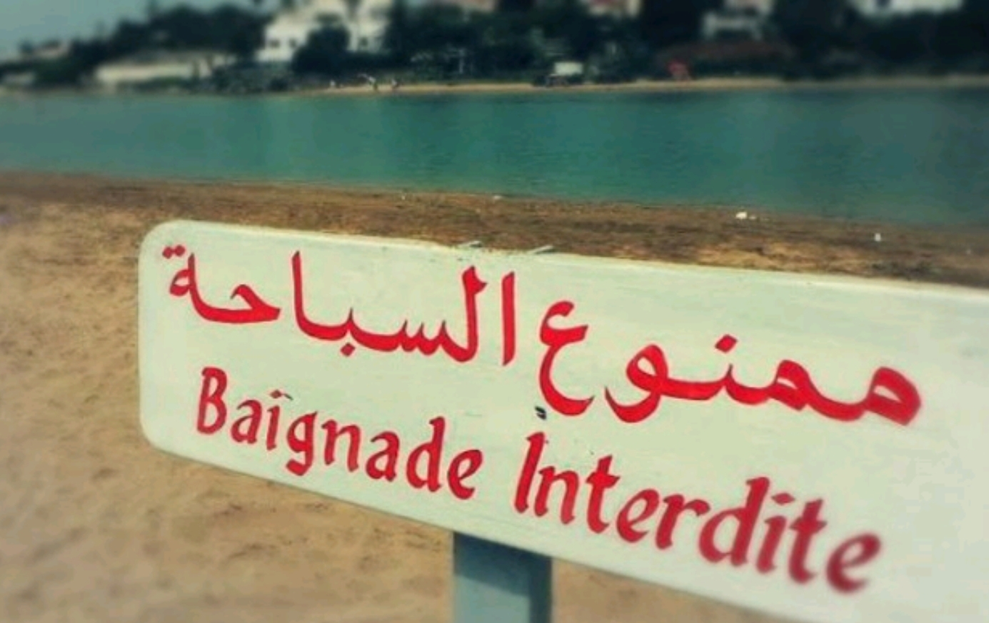 رياح قوية اليوم.. والسباحة غير ممكنة