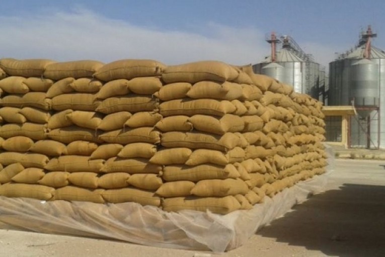 ديوان الحبوب: لا أضرار في الكميات المجمّعة جراء الأمطار الأخيرة