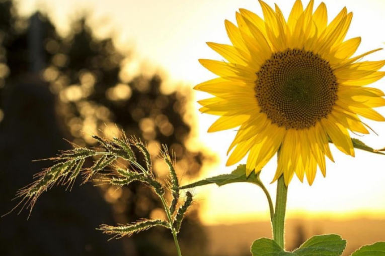 الأربعاء: حالة الطقس ودرجات الحرارة