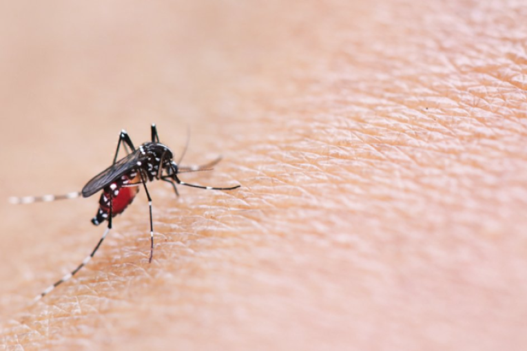 زغوان: تسجيل إصابة ثانية بمرض حمّى غرب النيل