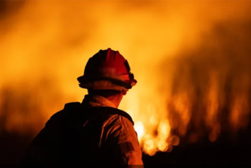 زغوان: السيطرة على حريق جبل سيدي زيد