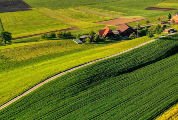 موسم الحبوب..البنك الوطني الفلاحي يرفع من قيمة التمويلات