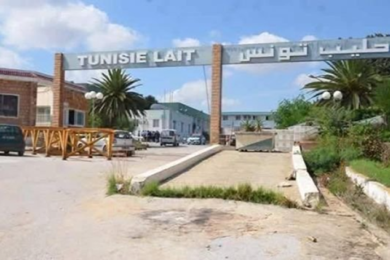 سوسة: مصنع الألبان بسيدي بوعلي يستأنف نشاطه أواخر 2026