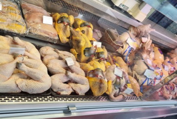 استئناف البرنامج الخصوصي لتعديل التزويد والأسعار بلحوم الدواجن