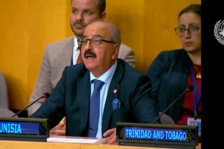 تونس تدعو في الأمم المتحدة إلى تضامن دولي لمكافحة الأمراض غير السارية