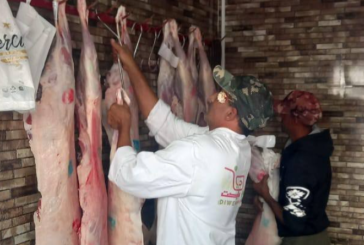 منوبة: تركيز نقطة بيع للحوم الحمراء المستوردة بالسوق البلدي