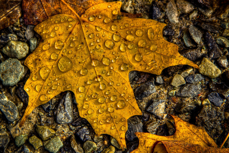 سحب كثيفة وأمطار متفرقة اليوم