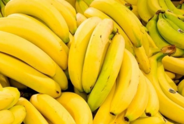 قرار وزاري: سعر الموز لن يتجاوز الـ7000