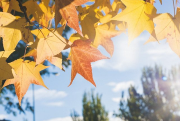 الجمعة: حالة الطقس ودرجات الحرارة