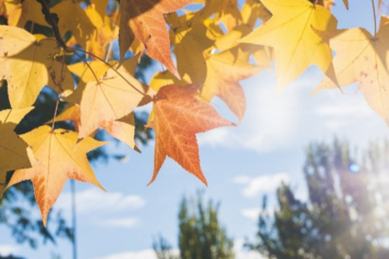 طقس السبت 11 أكتوبر 2025