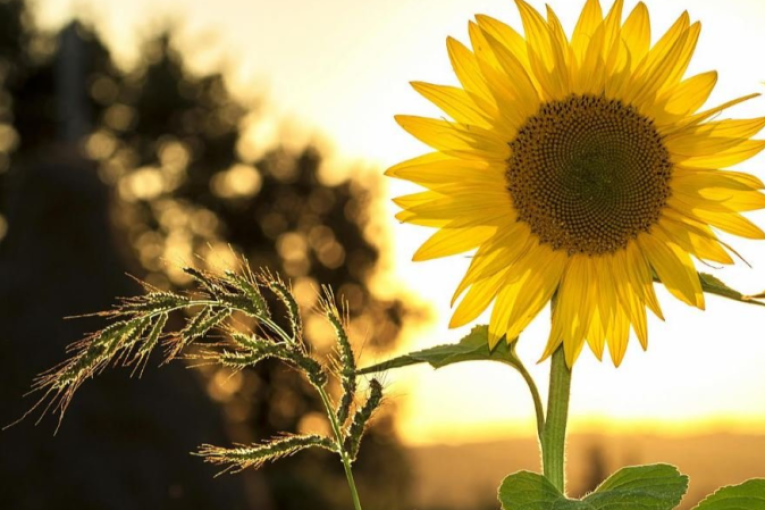 طقس السبت 4 أكتوبر 2025