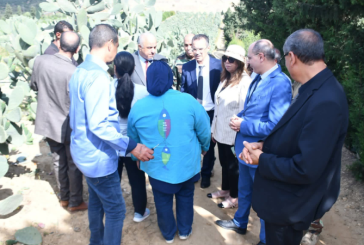 مكافحة الحشرة القرمزية:وزير الفلاحة يدعو لتوحيد الجهود ووضع خطة مُحكمة