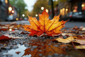 طقس مغيّم وأمطار ضعيفة هذا المساء