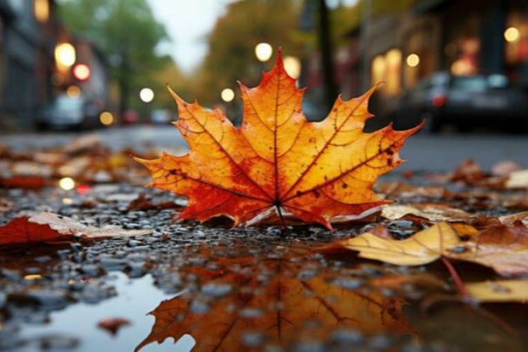 أمطار السبت مع تساقط البرد