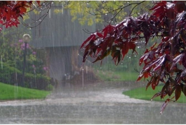 أعلاها ببنزرت: كميات الأمطار المُسجّلة خلال الـ24 ساعة الأخيرة