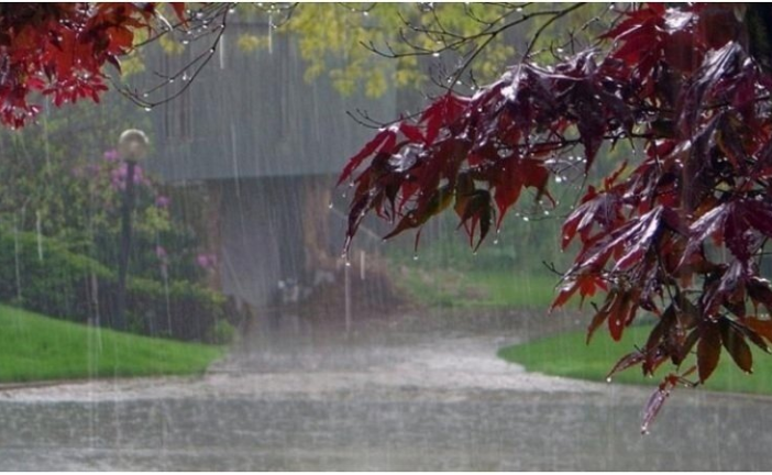 أمطار متفرقة والحرارة في ارتفاع طفيف