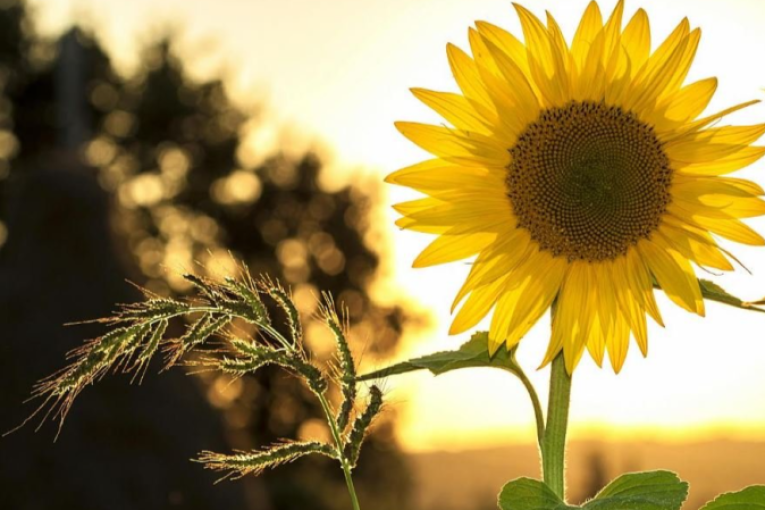 طقس الأحد 26 أكتوبر 2025