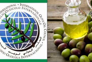 المجلس الدولي للزيتون يدعو أمريكا لحذف الرسوم على واردات زيت الزيتون