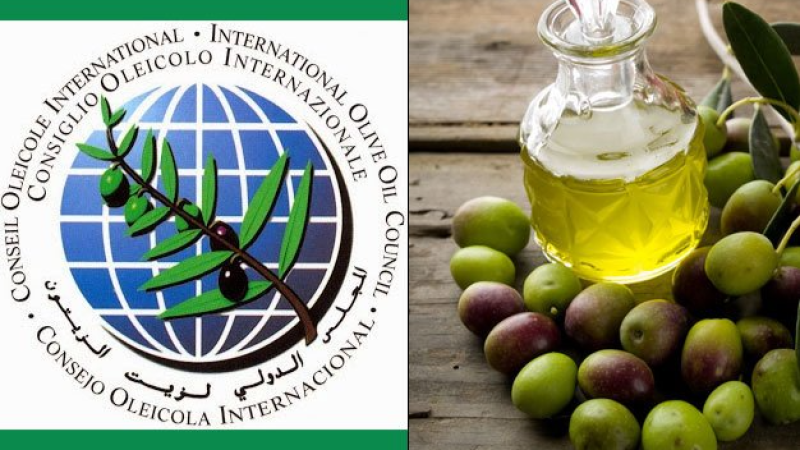 المجلس الدولي للزيتون يدعو أمريكا لحذف الرسوم على واردات زيت الزيتون
