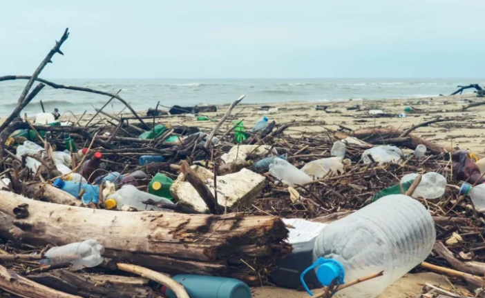 متطوعون يجمعون نحو 341 ألف نوع من النفايات بالشواطئ التونسية