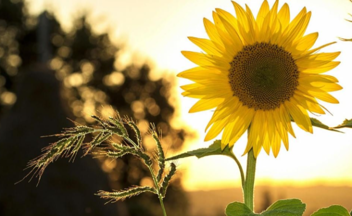 طقس السبت 1 نوفمبر 2025