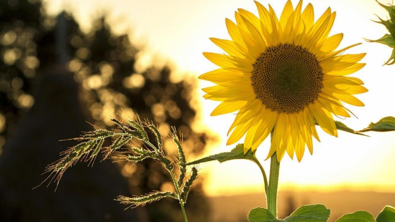 طقس السبت 1 نوفمبر 2025