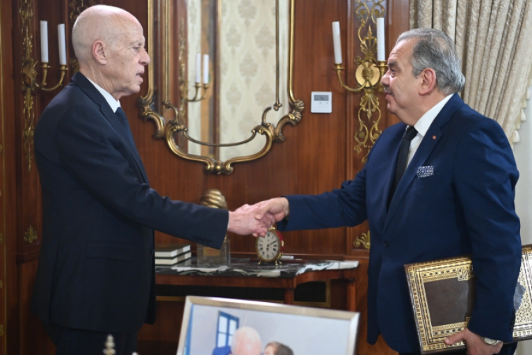 مشروع إعادة بناء ملعب المنزه في لقاء رئيس الجمهورية بوزير الشباب