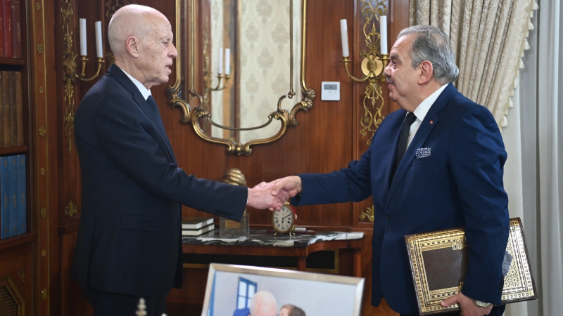 مشروع إعادة بناء ملعب المنزه في لقاء رئيس الجمهورية بوزير الشباب