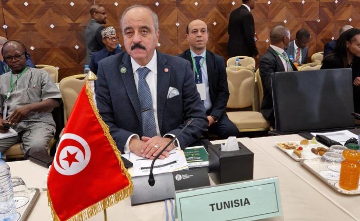 النفطي: ضرورة بناء أمن إفريقي قائم على التعاون والسيادة المشتركة