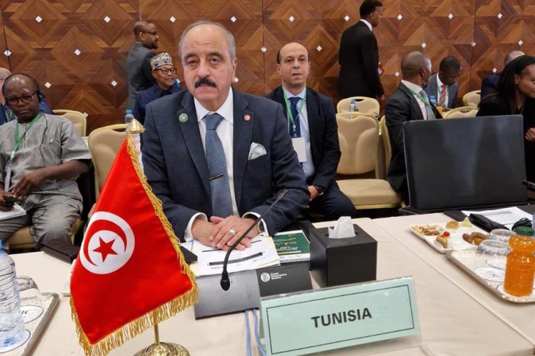 النفطي: ضرورة بناء أمن إفريقي قائم على التعاون والسيادة المشتركة