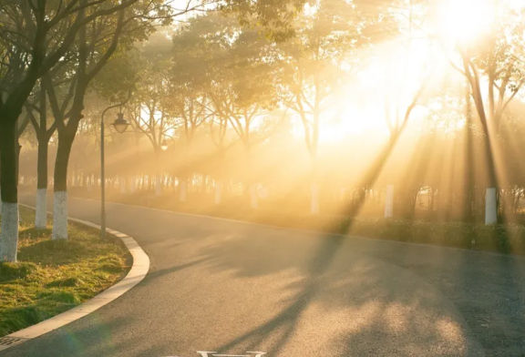 طقس السبت: ضباب صباحا وارتفاع درجات الحرارة