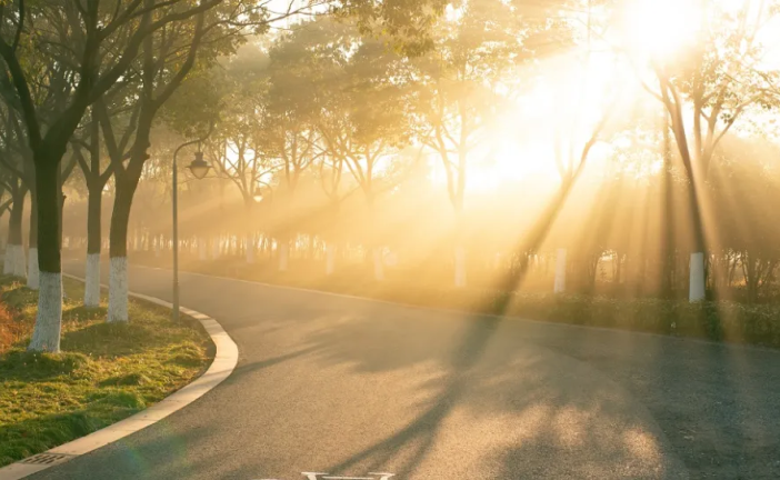 طقس السبت: ضباب صباحا وارتفاع درجات الحرارة