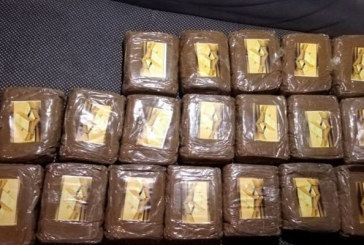 إيداع شاب السجن لحيازته ‘زطلة’ وكوكايين في سيارته بميناء حلق الوادي