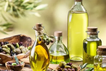 الأردن يوقّع عقودا لتوريد 3000 طن من زيت الزيتون التونسي