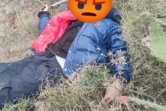 وزارة الداخلية تؤكد القضاء على أربعة إرهابيين بأحد المناطق المجاورة لمعتمدية ماجل بلعباس