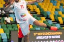 كرة اليد: المنتخب الوطني يتأهّل إلى نصف نهائي بطولة إفريقيا
