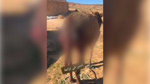 Séquence 02.00_00_50_13.Still002