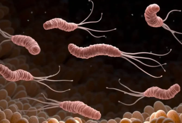 وزارة الفلاحة تُحذّر الفلاّحين من جرثومة ‘بومريرة’