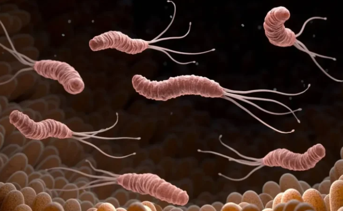 وزارة الفلاحة تُحذّر الفلاّحين من جرثومة ‘بومريرة’