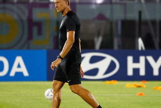 هيرفي رونار يعتذر عن تدريب المنتخب