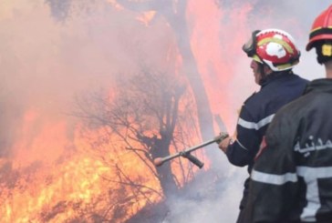 الحماية المدنية تتدخّل لإطفاء 196 حريقا