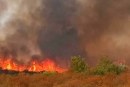 جندوبة: السيطرة على الجزء الأكبر من حريق غابة جبل لنقاع بسيدي عبيد